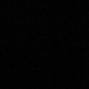 Meet your Posher, Ella